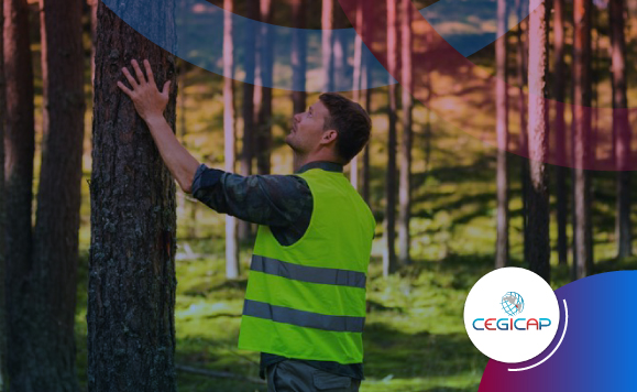 MANEJO Y CONSERVACIÓN DE RECURSOS FORESTALES