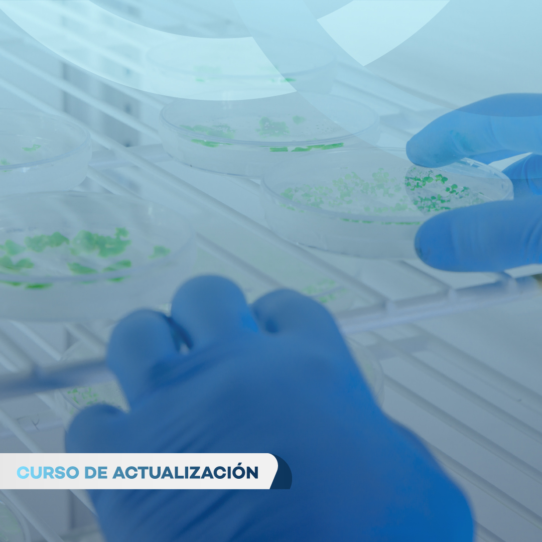 RESISTENCIAS MICROBIANAS Y NUEVOS ANTIMICROBIANOS