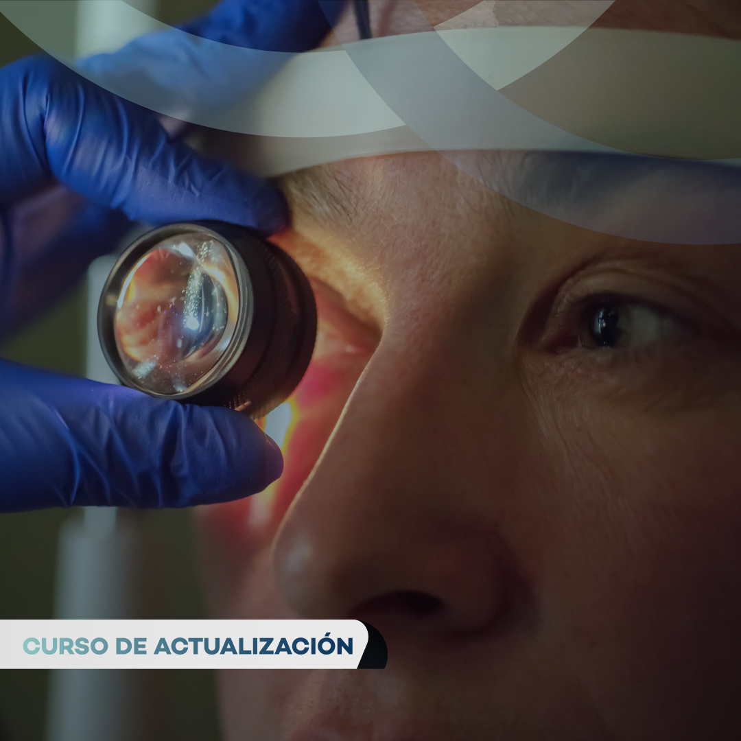 Portada de DESARROLLO DEL GLOBO OCULAR