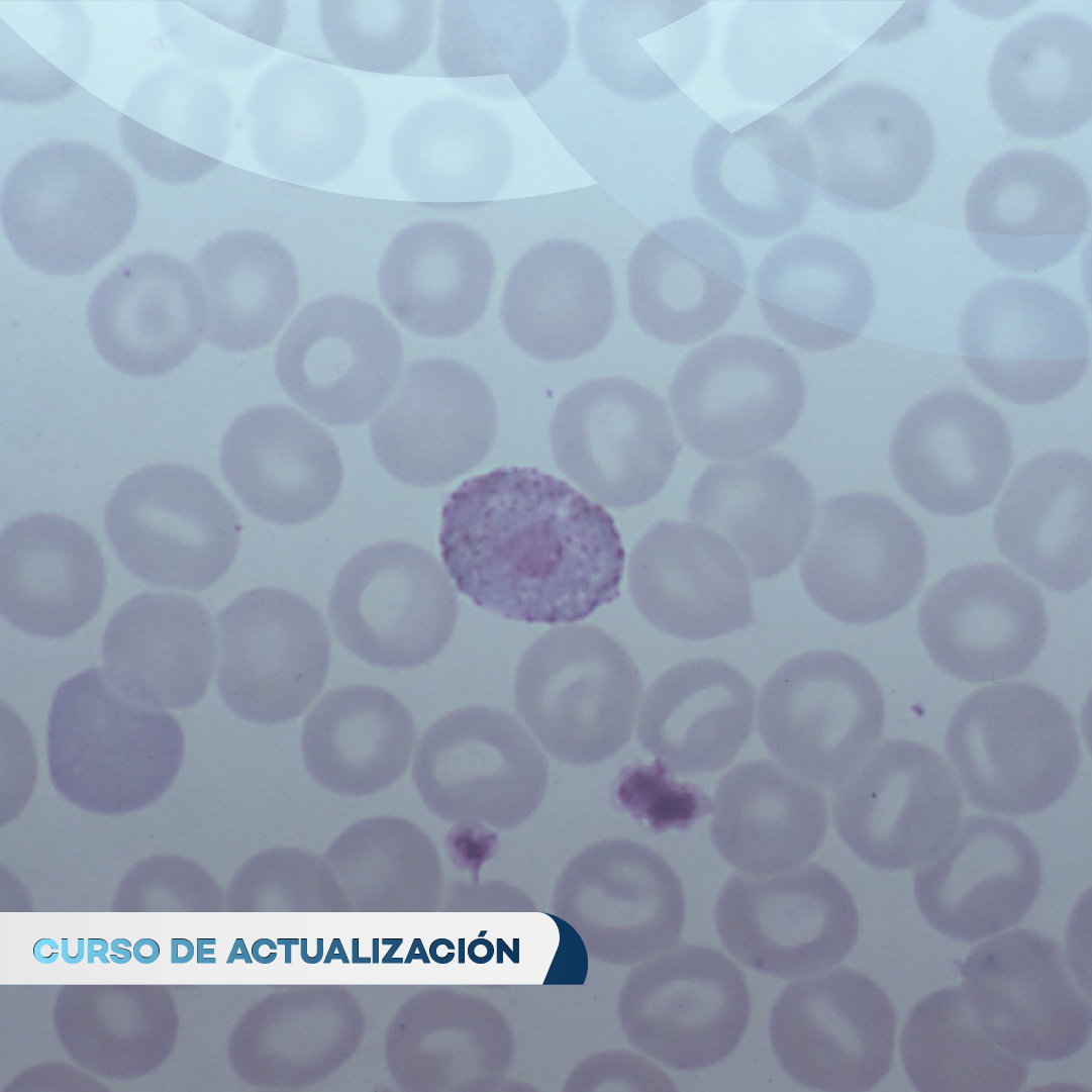 Portada de NUEVOS ALCANCES EN FROTIS Y COLORACIÓN AUTOMATIZADA