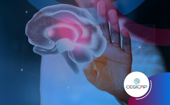 NEUROANATOMIA Y NEUROFISICA