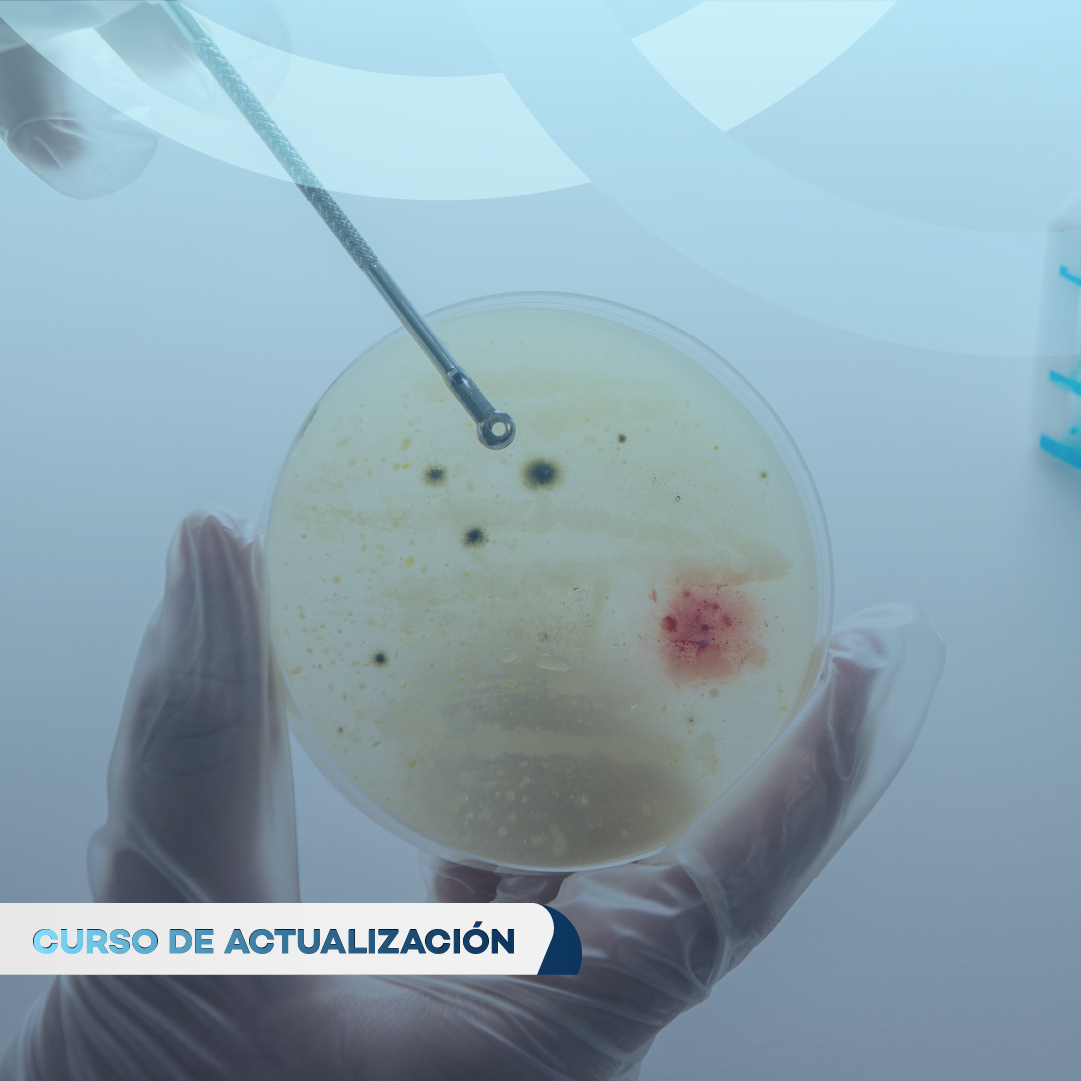 Portada de PARASITOLOGÍA CLÍNICA: ANÁLISIS CLÍNICO DE GEOHELMONTOS, TOXOCARA Y ENTEROBIOSISDIAGNOSTICO Y RETOS