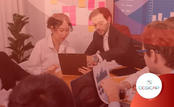 GESTIÓN DE PROYECTOS BAJO EL ENFOQUE DEL PMI