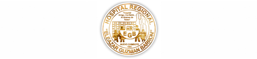 HOSPITAL REGIONAL ELEAZAR GUZMAN BARRON